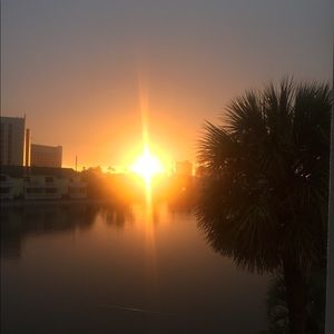 Meet your Posher, Sam